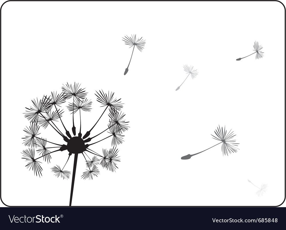 Одуванчик рисунок чб