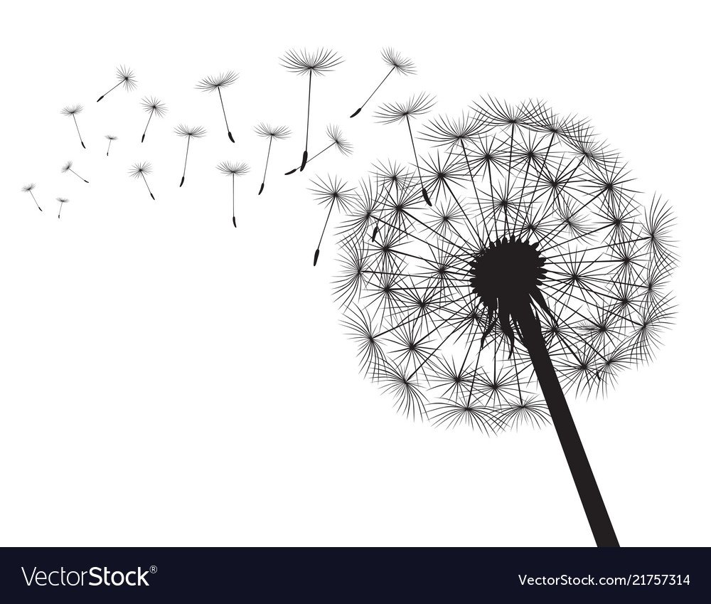 Одуванчик для печати черно белые