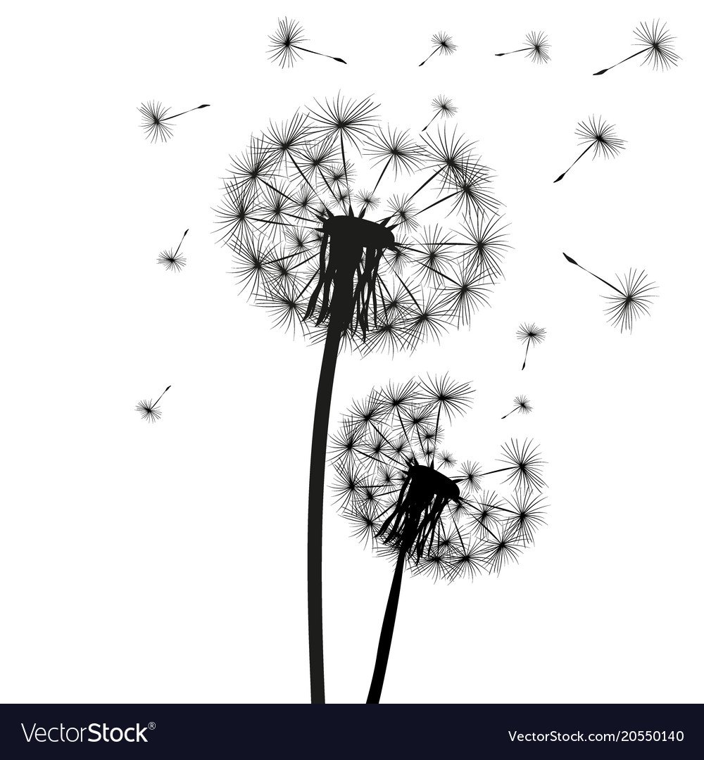 Одуванчик ботаника силуэт