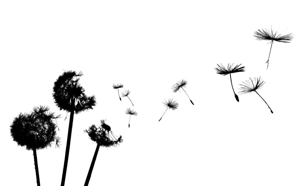 Черная плитка с одуванчиками