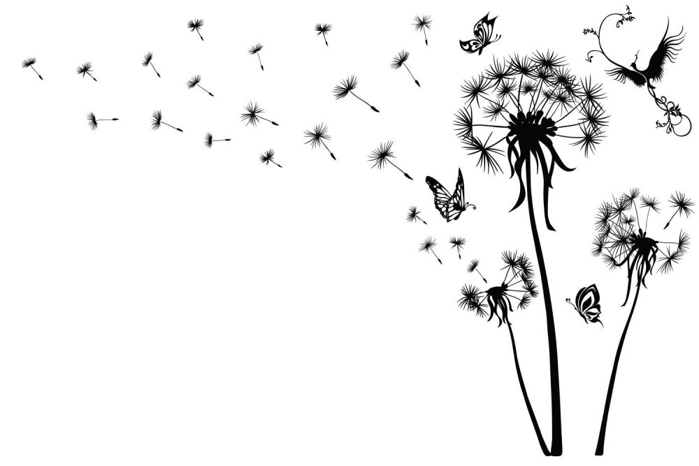 Одуванчик рисунок