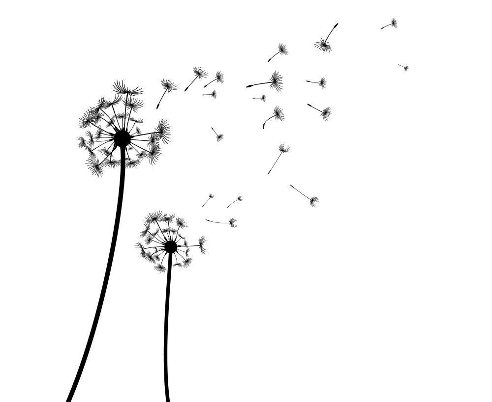 Одуванчики летят силуэт