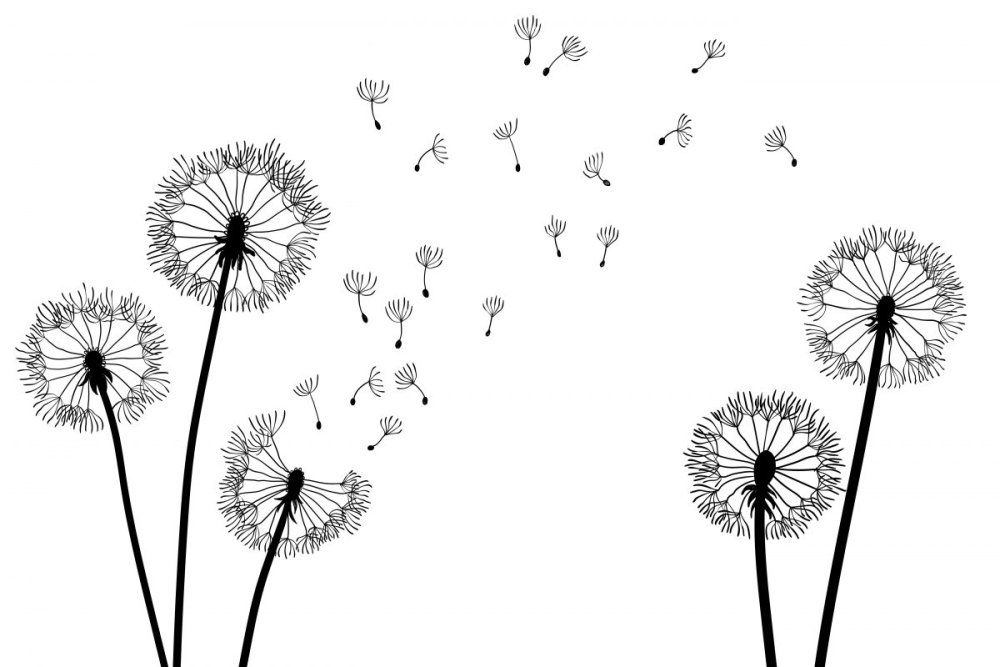 Одуванчик на ветру рисунок
