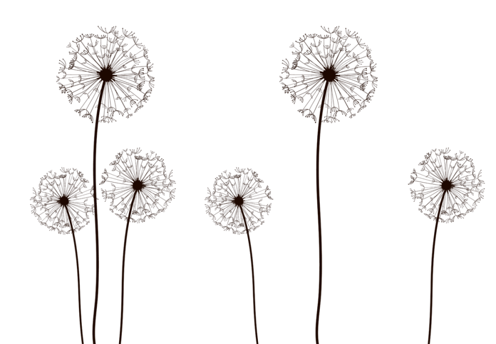 Рисунок 3d одуванчики