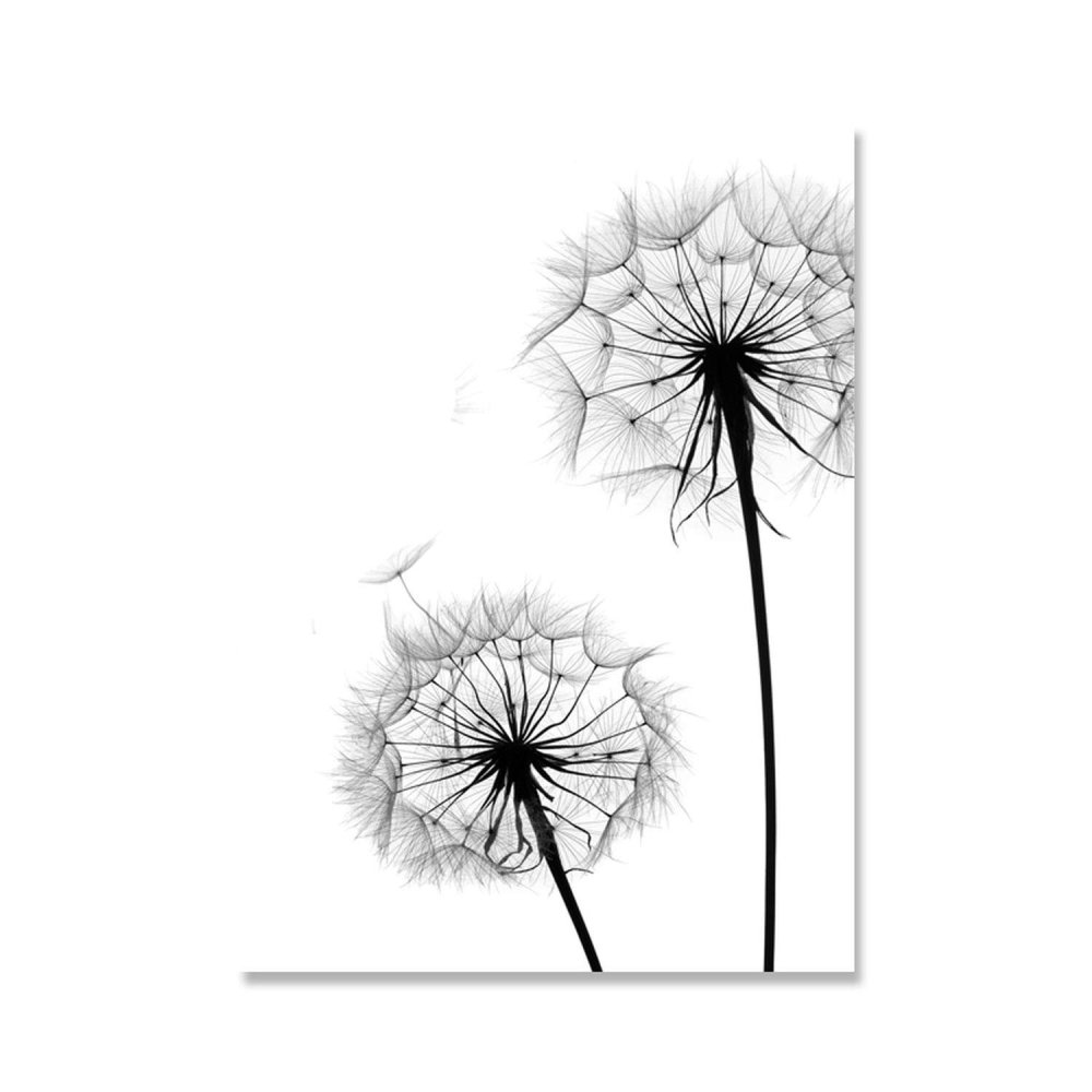 Одуванчик чб