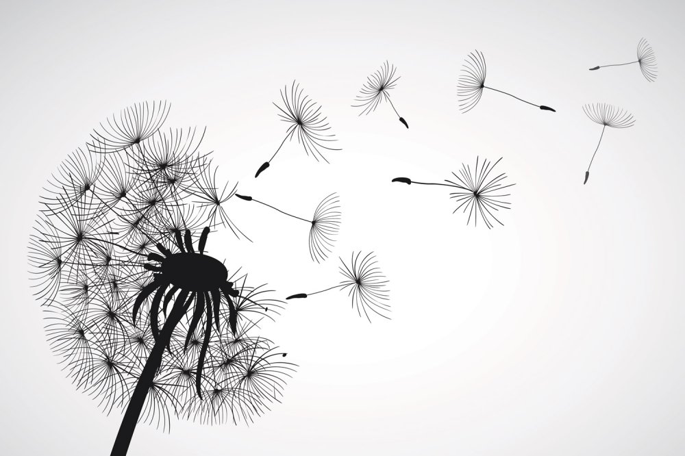 Одуванчик вектор