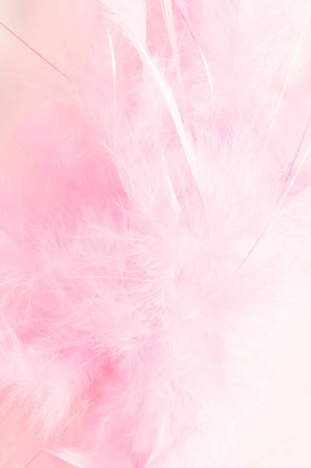 Розовый фон