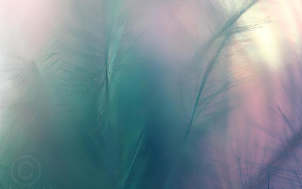 Фон пастельные тона