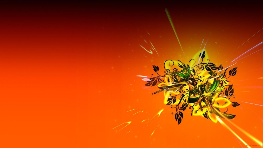 Оранжевые цветы абстракция