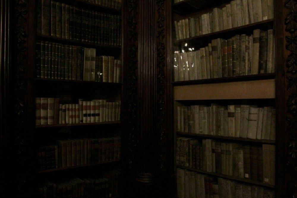 Библиотека темная Эстетика