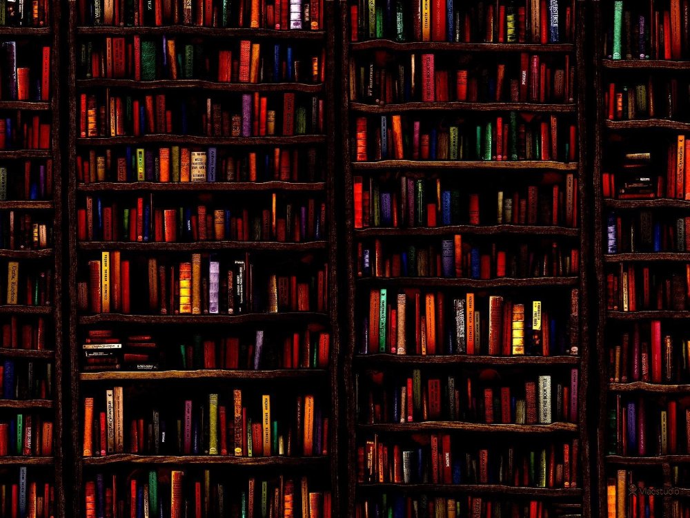 Книжные полки