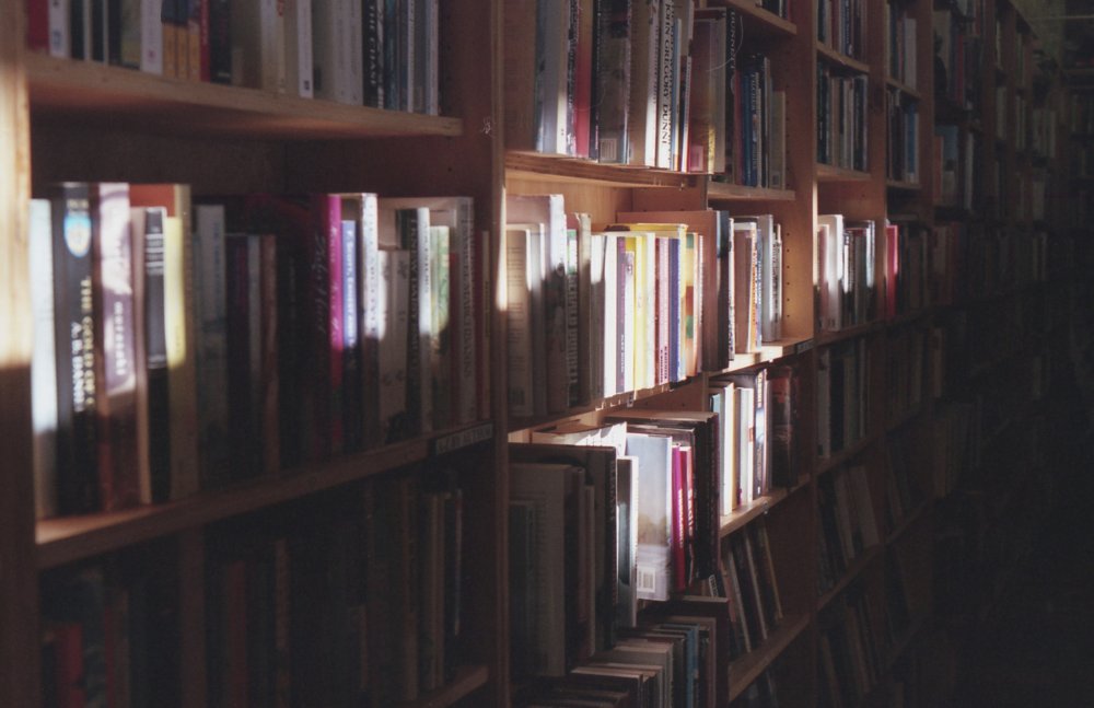 Книжные полки в библиотеке Эстетика