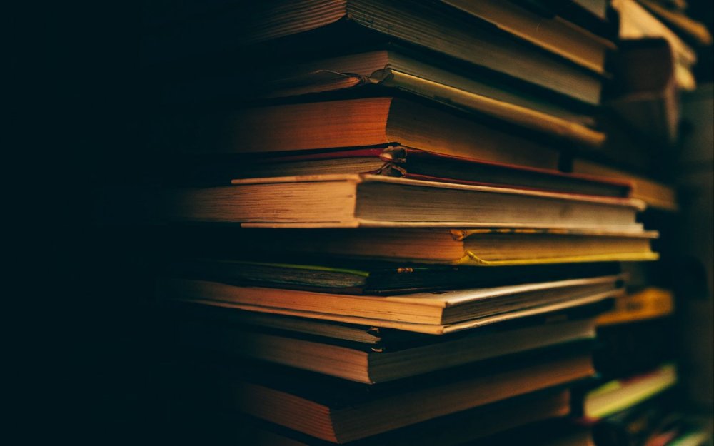 Коричневая книга