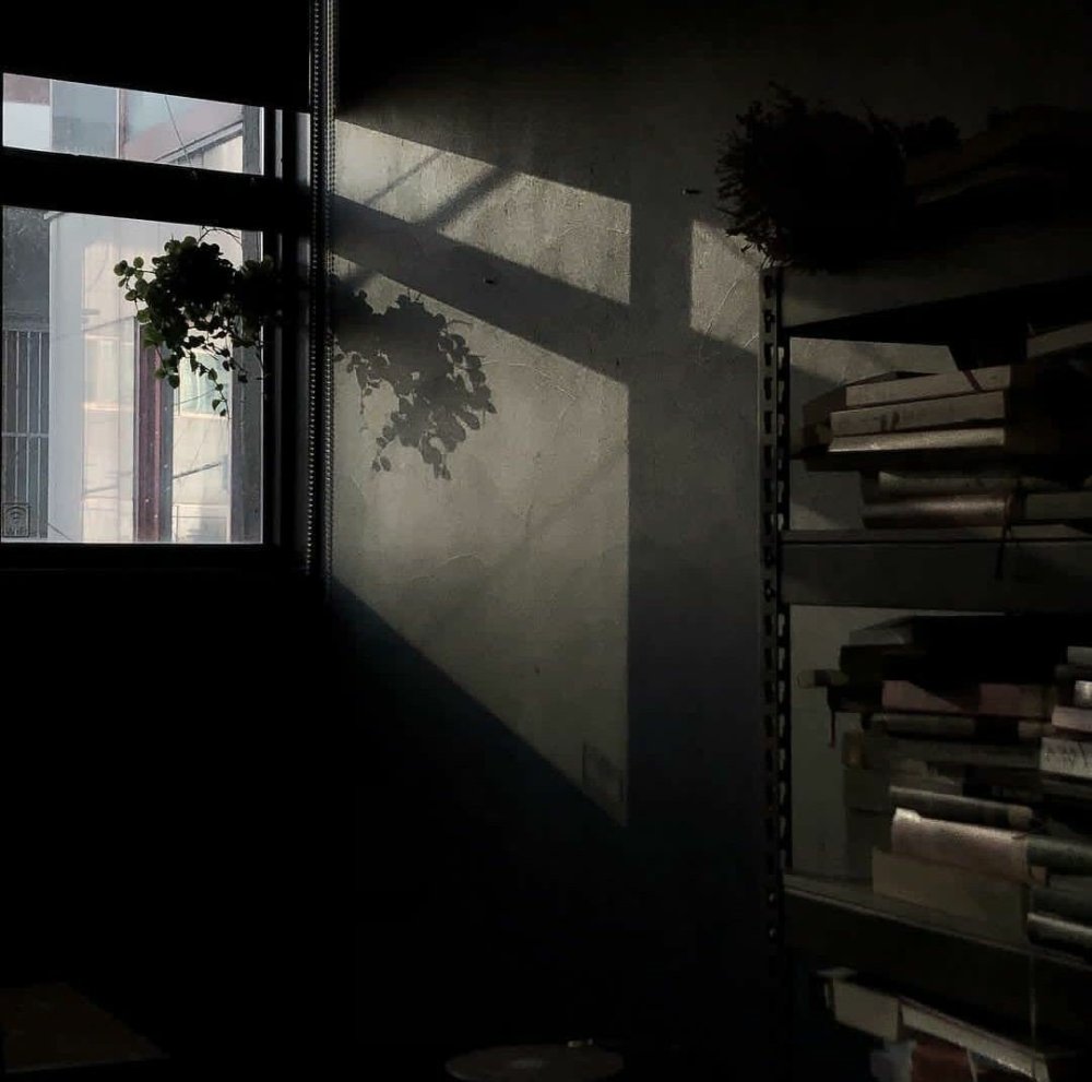 Эстетика серого