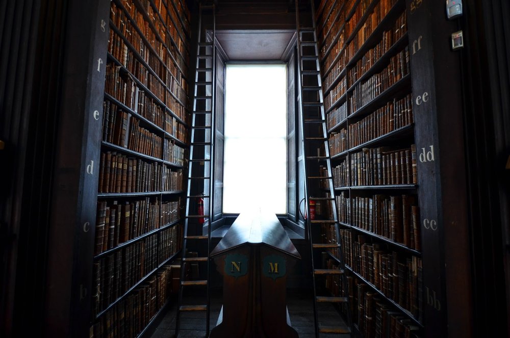 Комната с книжными полками арт