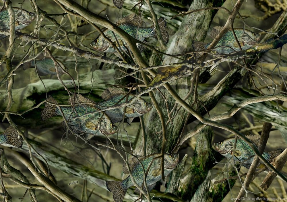 Камуфляж Камо дерево