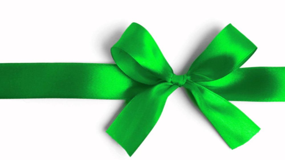 Тропические листья на белом фоне