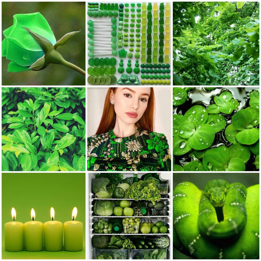 Зеленый бант с лентой