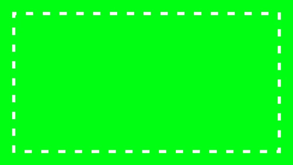 Зеленые тропические листья