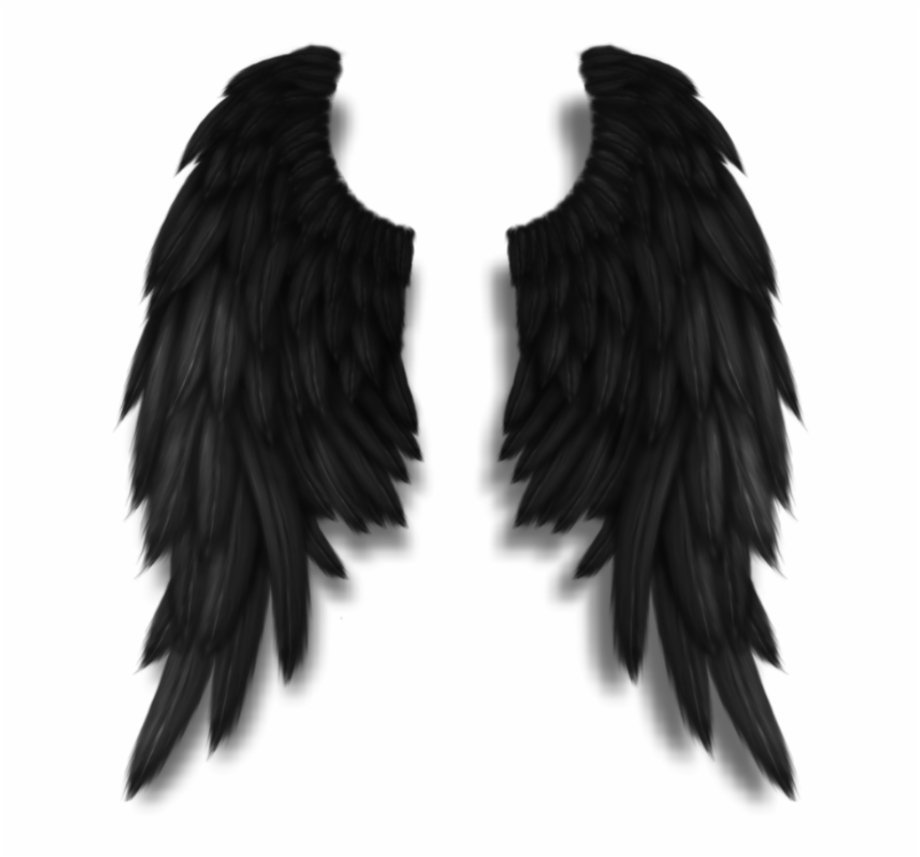 Черные Крылья