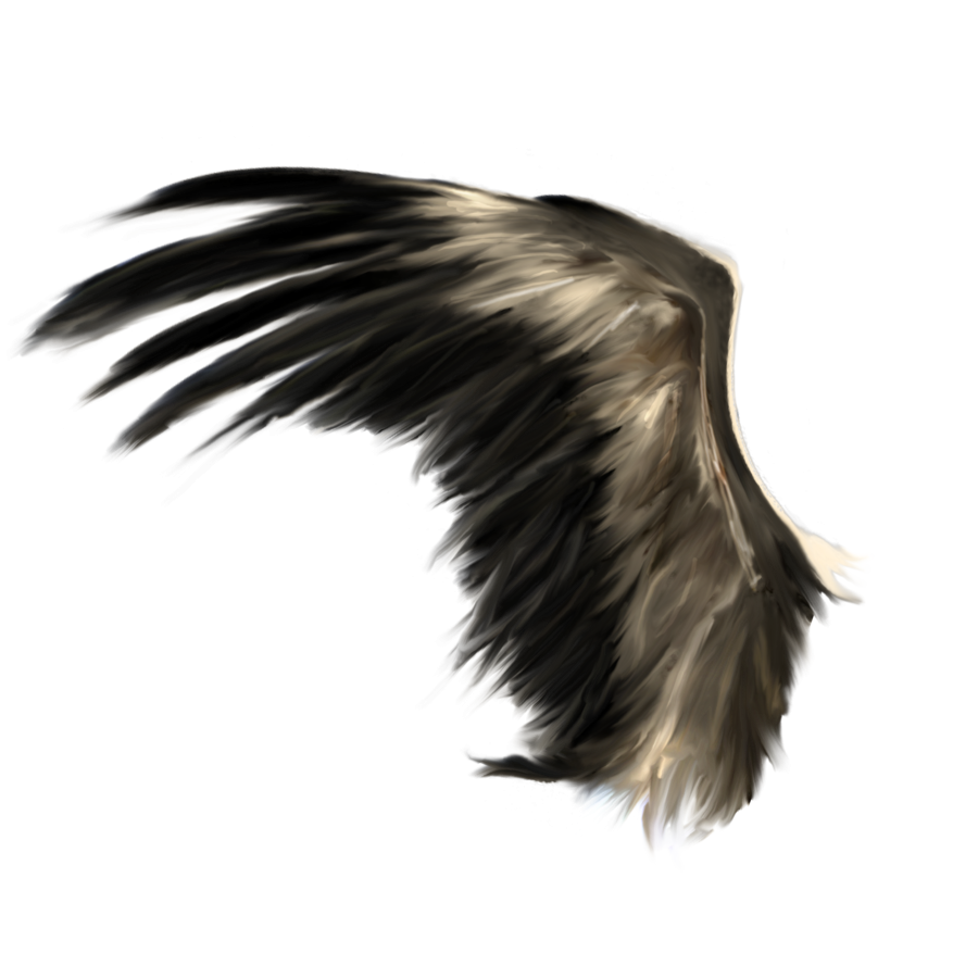 Черные Крылья