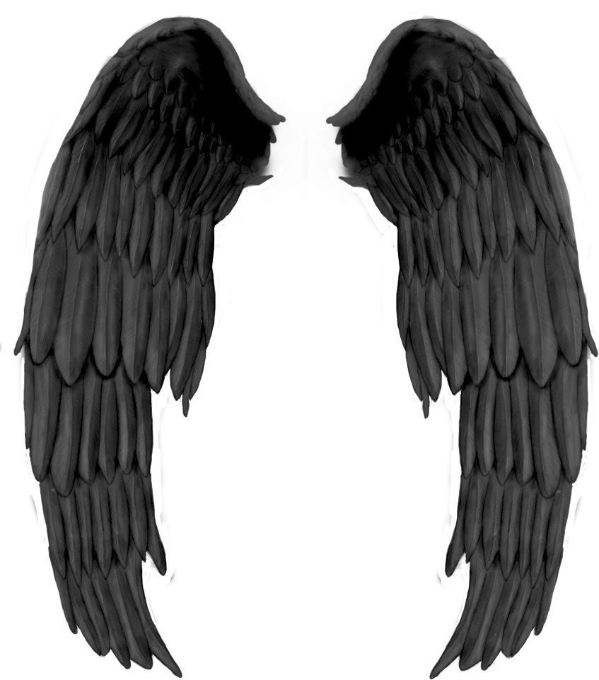 Крылья ангела черные