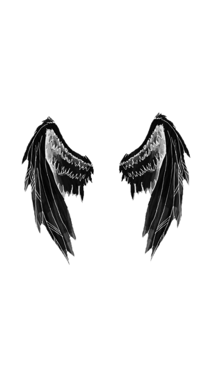 Крылья Минимализм