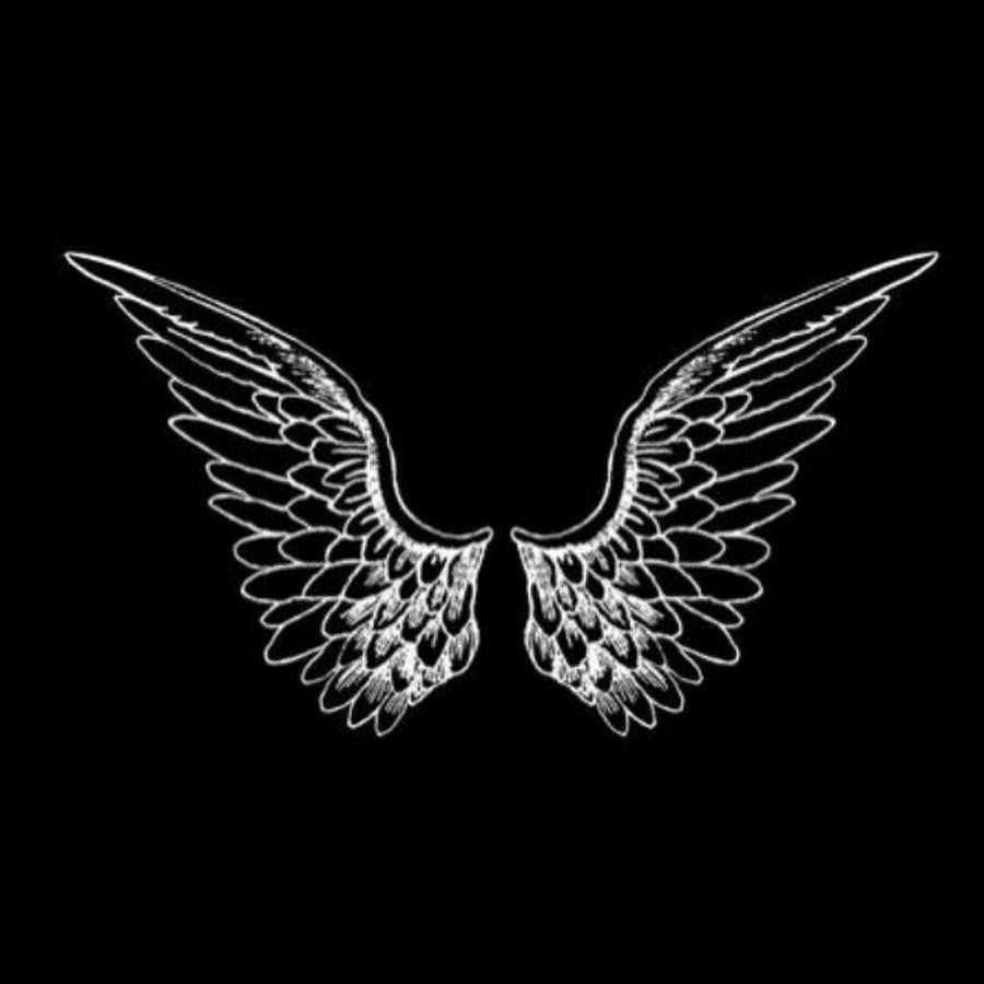 Крылышки на черном фоне