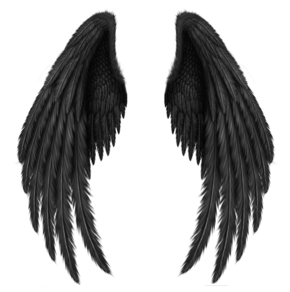 Черные Крылья