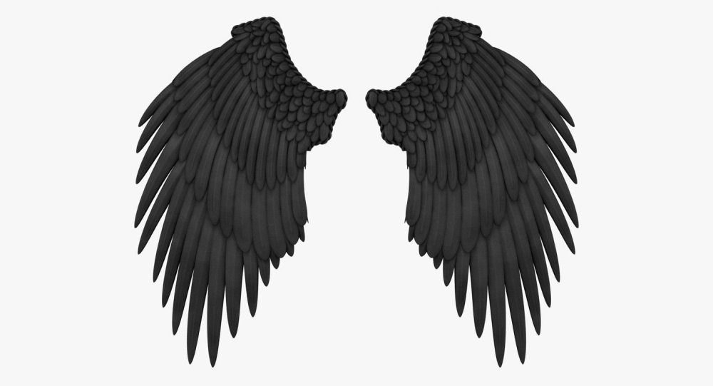 Крылья ангела черные