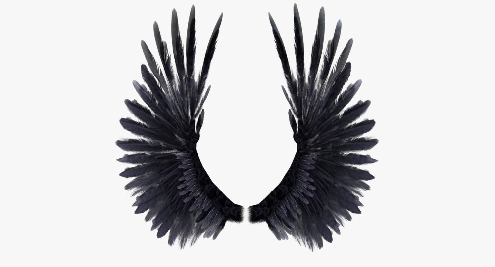Чёрные Крылья для фотошопа