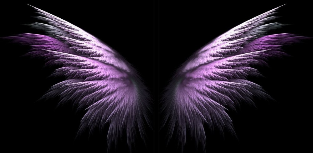 Крылья на темном фоне