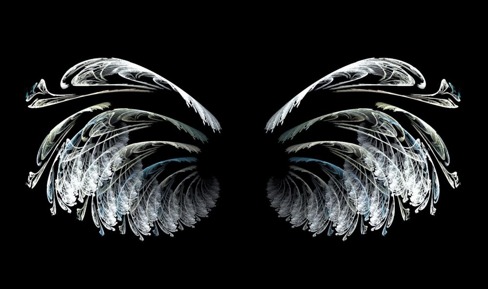 Крылья на черном фоне
