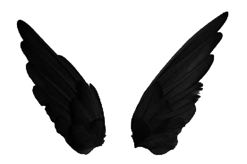 Крылья ангела черные