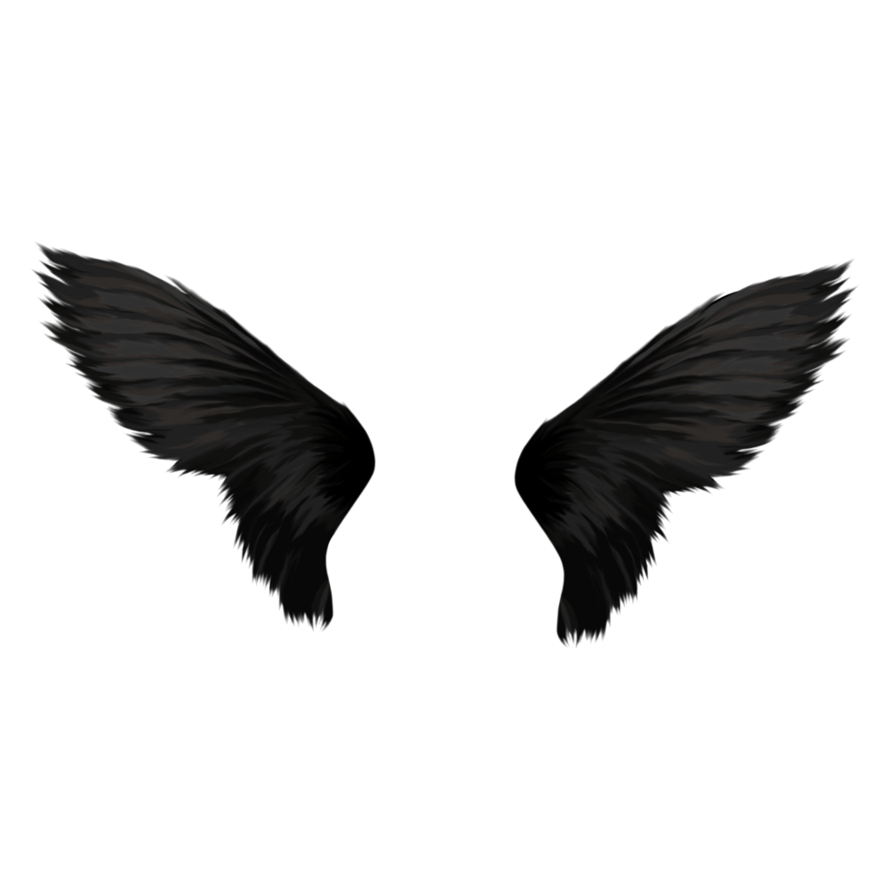 Черные ангельские Крылья