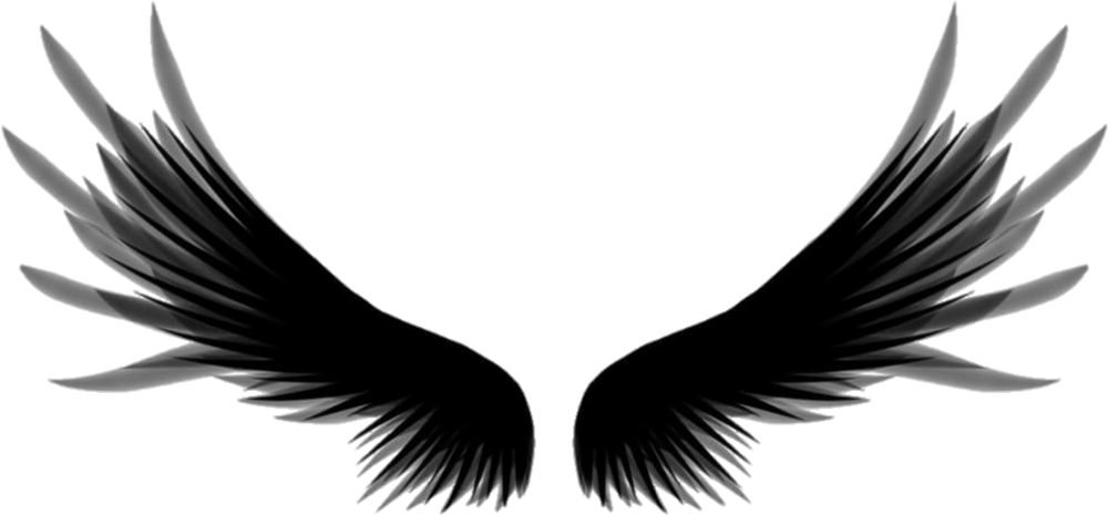 Чёрные Крылья на зелёном фоне