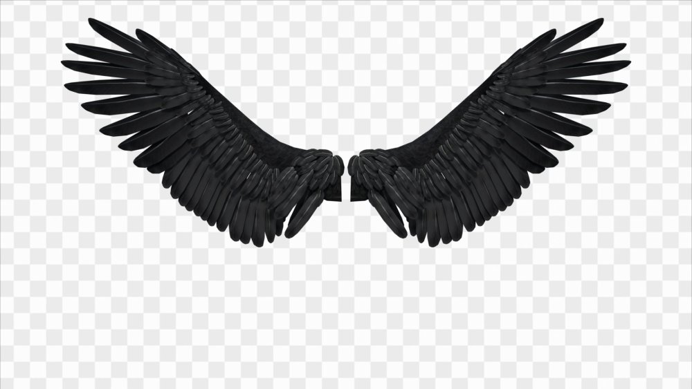 Черные Крылья