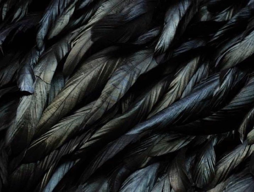 Вороное перо