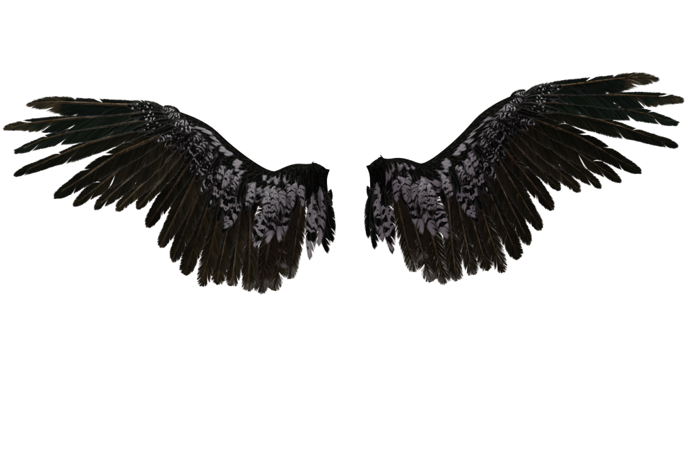 Крылья ангела черные