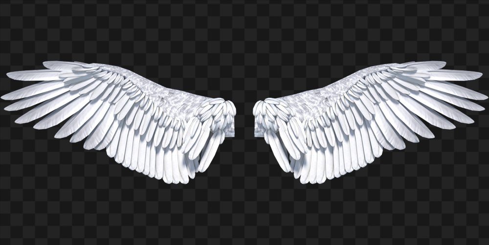 Очень красивые Крылья