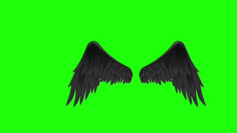 Черные Крылья гача лайф