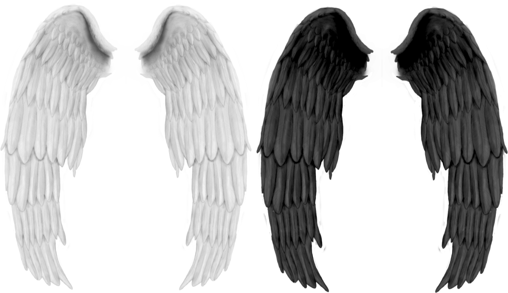 Крылья ангела и демона