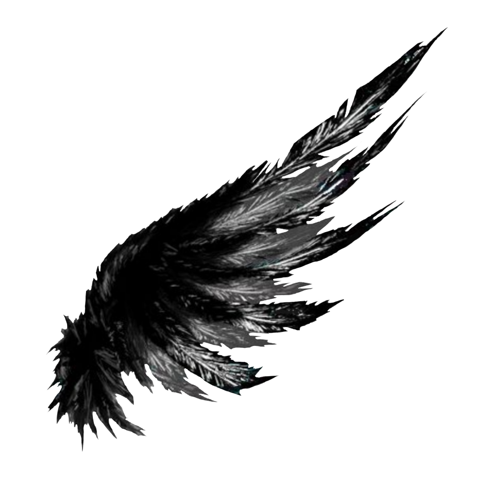 Перо ворона