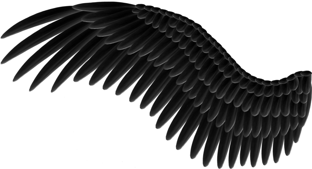 Белые Крылья на черном фоне