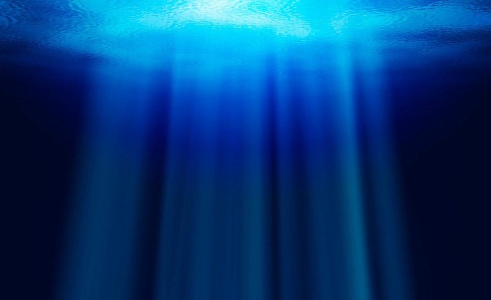 Темное дно океана