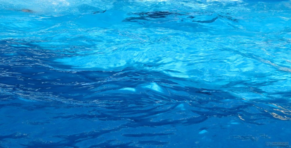 Гладь воды бассейна
