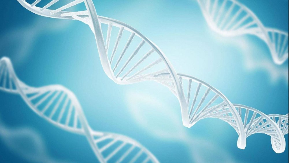 Медицинский фон вектор