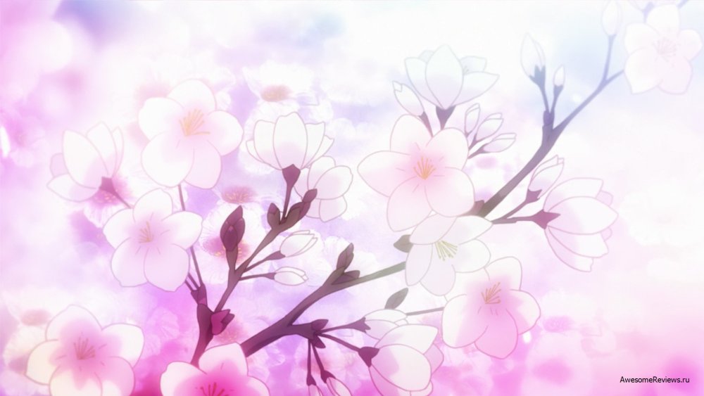 Фон для текста Сакура