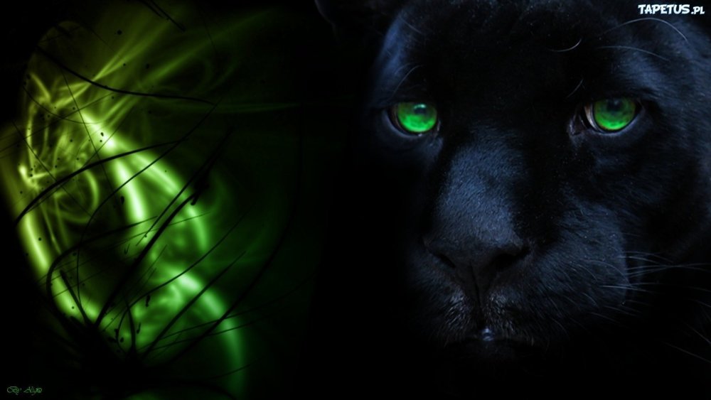 Черная пантера с зелеными глазами