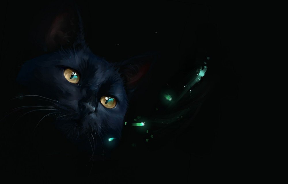 Черные коты обои